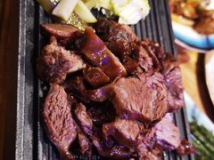 -鼎原力量东北吊炉烧烤(临河街店)