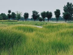 -汉长安城未央宫国家考古遗址公园