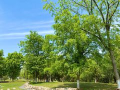 -盘龙城国家考古遗址公园