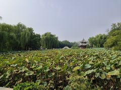 -莲池书院博物馆