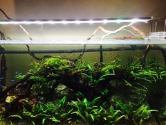 景观位-百好乐宠物友好餐厅(朝外大街店)