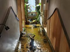 -邈墨茶馆(凤起路店)