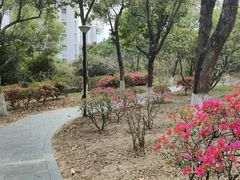 -燕晗山郊野公园