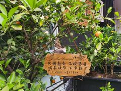 -芙蕾哥哥souffle