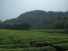 -东钱湖旅游度假区