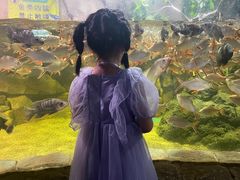 -多彩贵州城极地海洋世界