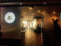 -油梨树 AVOCADO TREE(亮马桥店)