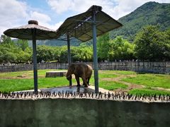 -西安秦岭野生动物园