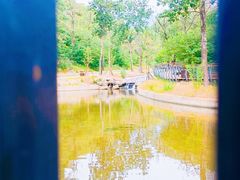 -白水寺森林公园