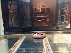 -猫的天空之城概念书店(杭州南宋御街店)