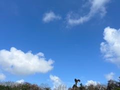 -海南热带野生动植物园