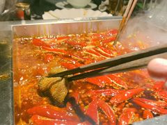 -二荆条·蜀鲜汇城市森林火锅