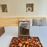环境超赞的棋牌室（而我是来喝咖啡的[胜利]）