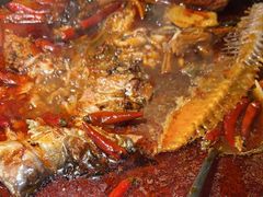 -探鱼·鲜青椒爽麻烤鱼(天河优托邦店)