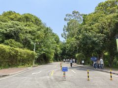 -大雁山风景区
