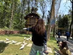 -贵州森林野生动物园