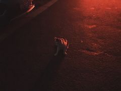 -英皇UA电影城(瑞虹天地月亮湾)