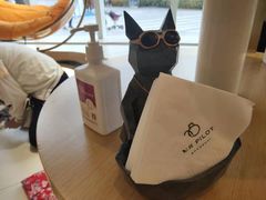 -飞行喵MR PILOT|猫舍·猫咖(静安大融城店)