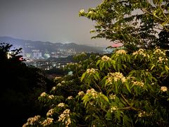 -福道