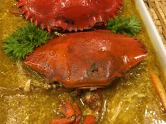 -茉莉.Red Crab