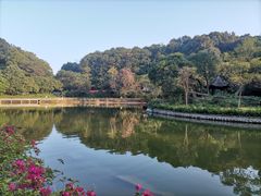 -广州市帽峰山景区