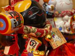 -拉面莊夢語＆中华料理八椿