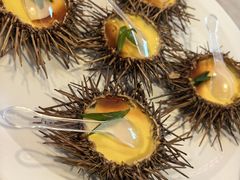 -船歌·鱼水饺青岛菜(石老人店)