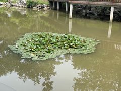 -古隆中景区