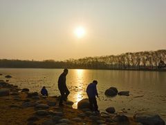 -大兴滨河森林公园