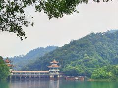 -鼎湖山风景区