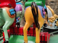 -南宫五洲植物乐园