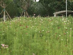 -北沙滩(地铁站)