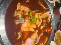 红锅锅底-蜀滋香鲜鱼美蛙火锅(339店)