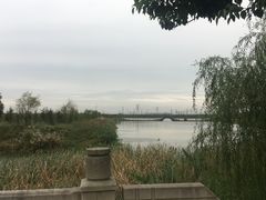 -南湖湿地公园