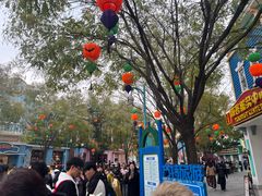 -沈阳方特欢乐世界