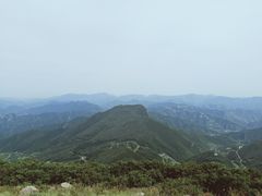 -白草畔自然风景区