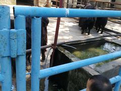 -祥源·阜阳生态乐园