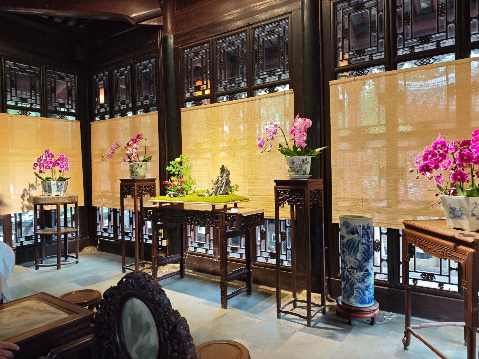 苏式园林,会客厅真是古香古色,美啊!