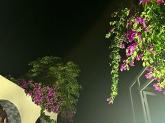 -老班长·小龙虾·鲜货烧烤大排档(金街美地店)