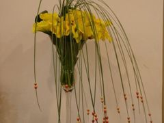 -FEI FEI FLOWER鲜花店·气球派对·宝宝宴布置(虹口德必运动Loft店)