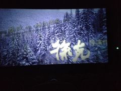 -博纳国际影城(淄博店)