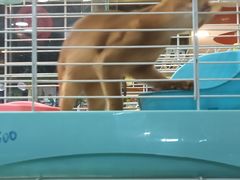 -宠爱我(南山店)