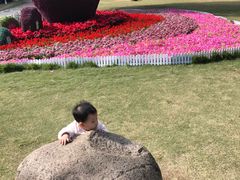 -金鸡山公园