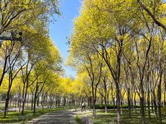 -东郊湿地公园
