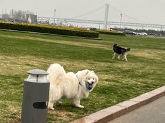 -星海广场