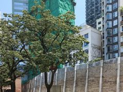 -大馆(前中区警署建築群)