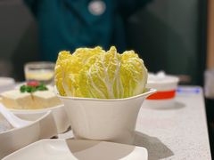 娃娃菜-海底捞火锅(明湖路店)