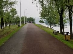 -艾溪湖湿地公园