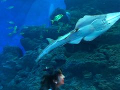 -成都浩海立方海洋公园