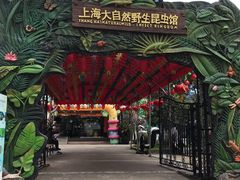 -上海大自然野生昆虫馆(东方明珠·爬宠昆虫探索中心)